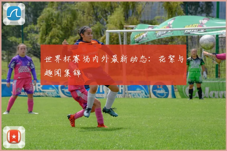 世界杯赛场内外最新动态：花絮与趣闻集锦
