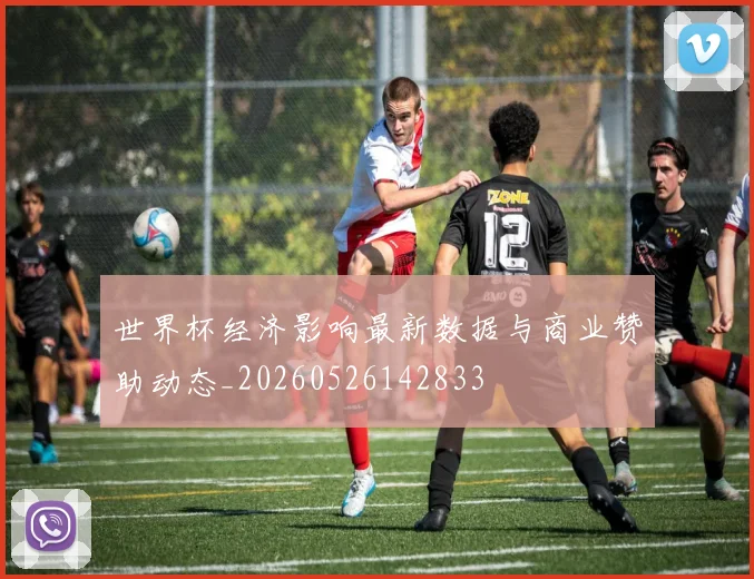 世界杯经济影响最新数据与商业赞助动态_20260526142833