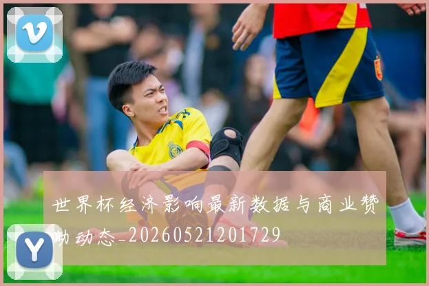 世界杯经济影响最新数据与商业赞助动态_20260521201729