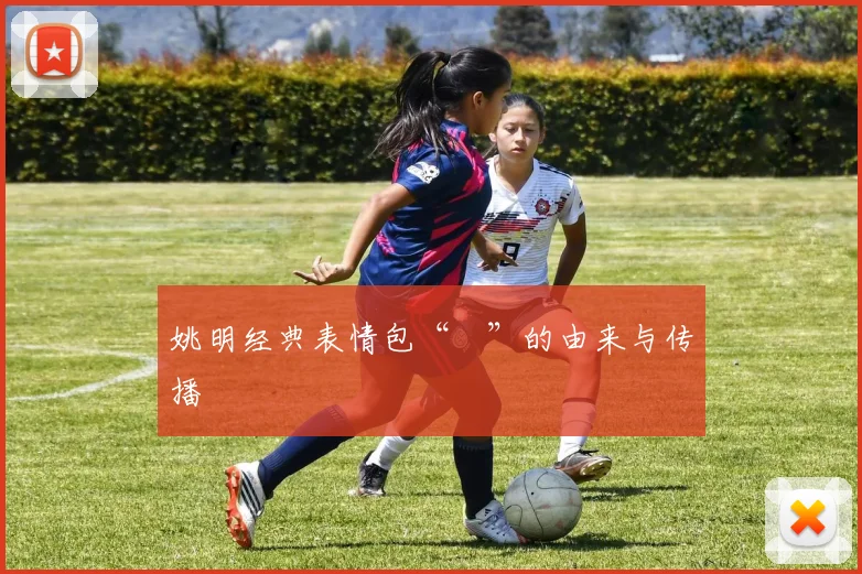 姚明经典表情包“囧”的由来与传播