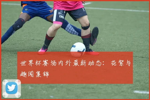 世界杯赛场内外最新动态:花絮与趣闻集锦