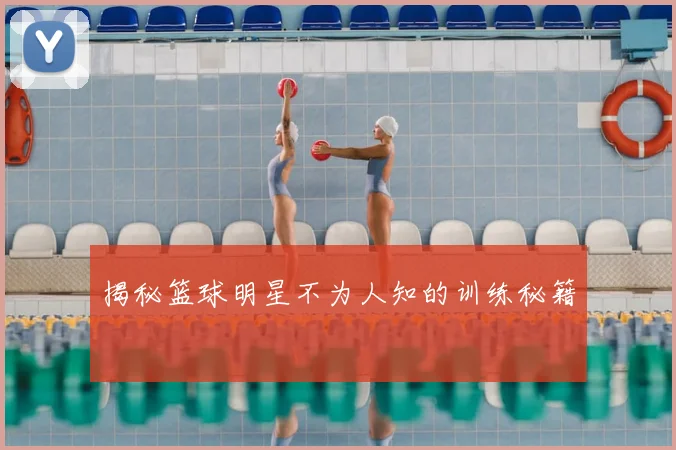 揭秘篮球明星不为人知的训练秘籍
